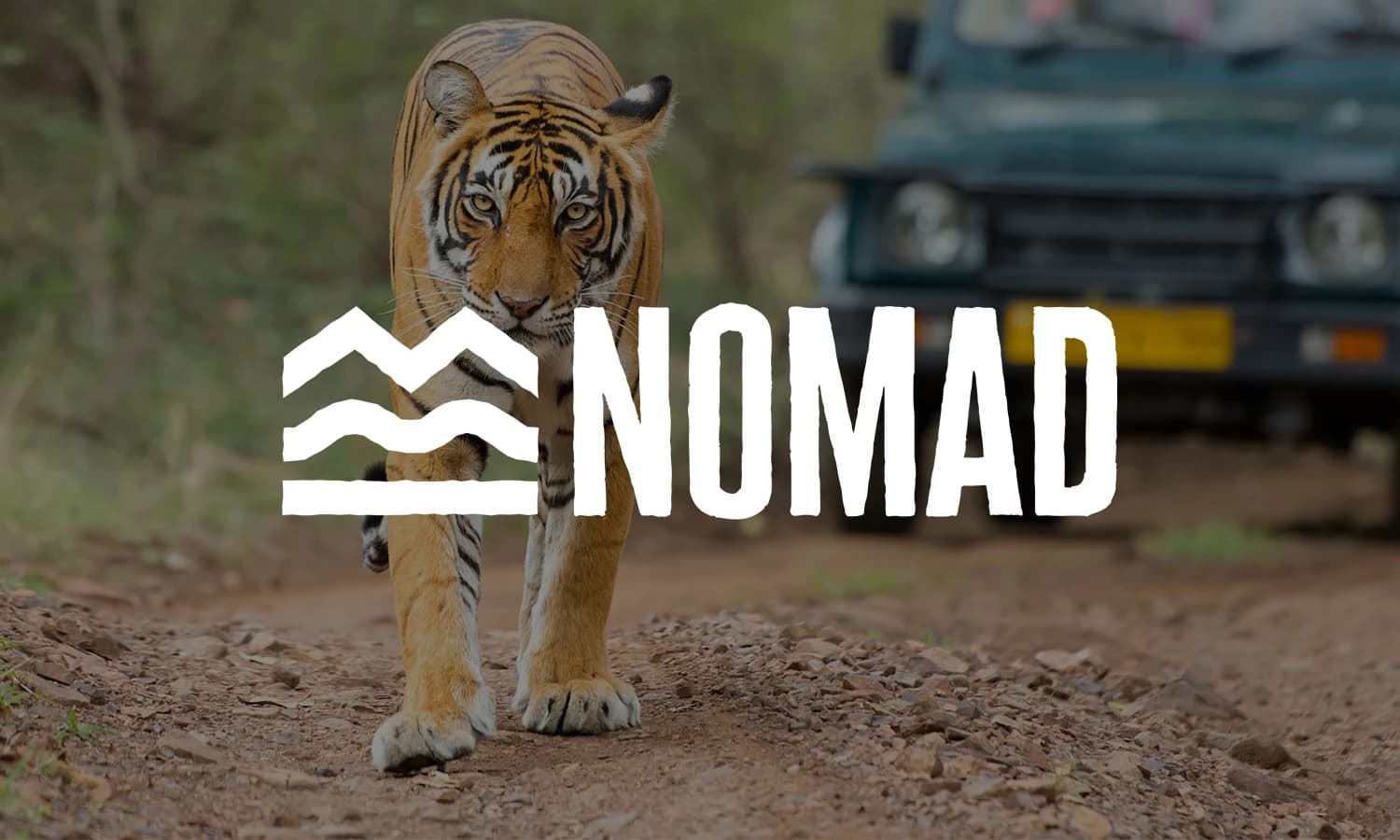 Nomad Travel cover image